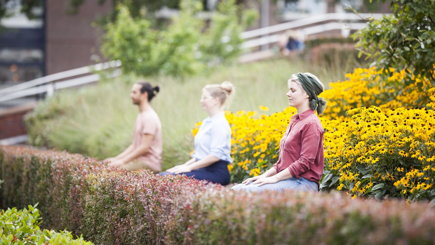 Yin yoga in Groningen: meditatie en diepe ontspanning